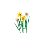 LEGO® 40747 Daffodils - Vaizdas 2
