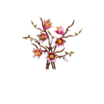 LEGO® 11510 Magnolia Branches - Vaizdas 2