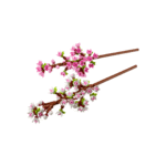 LEGO® 40725 Cherry Blossoms - Image 3